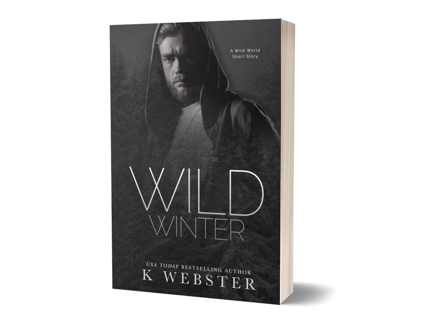 Wild Winter image 0