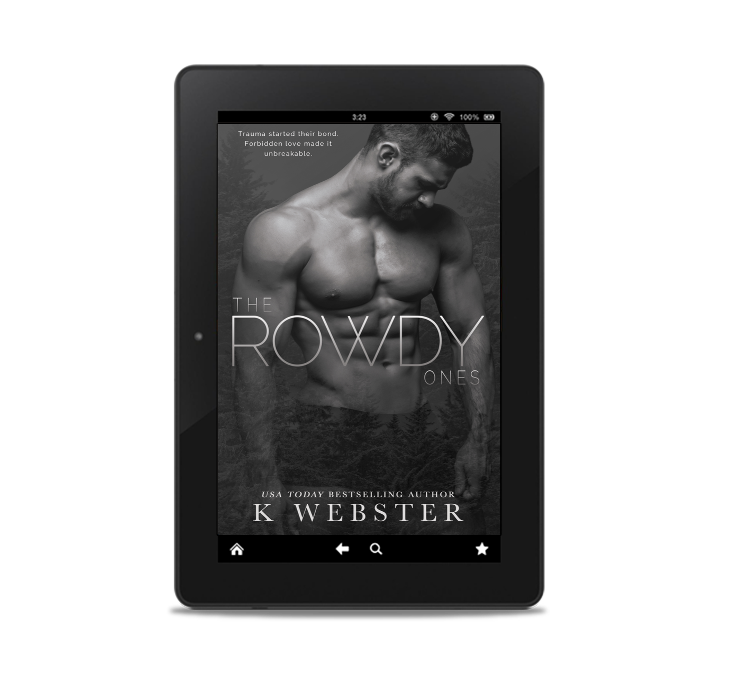 The Rowdy Ones Ebook