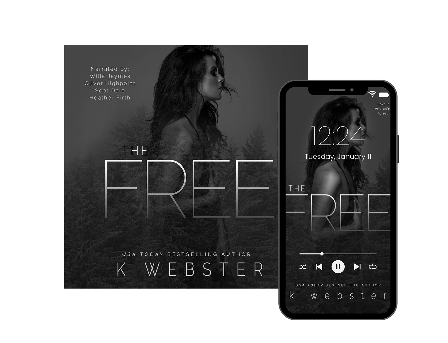 The Free Audiobook image 0