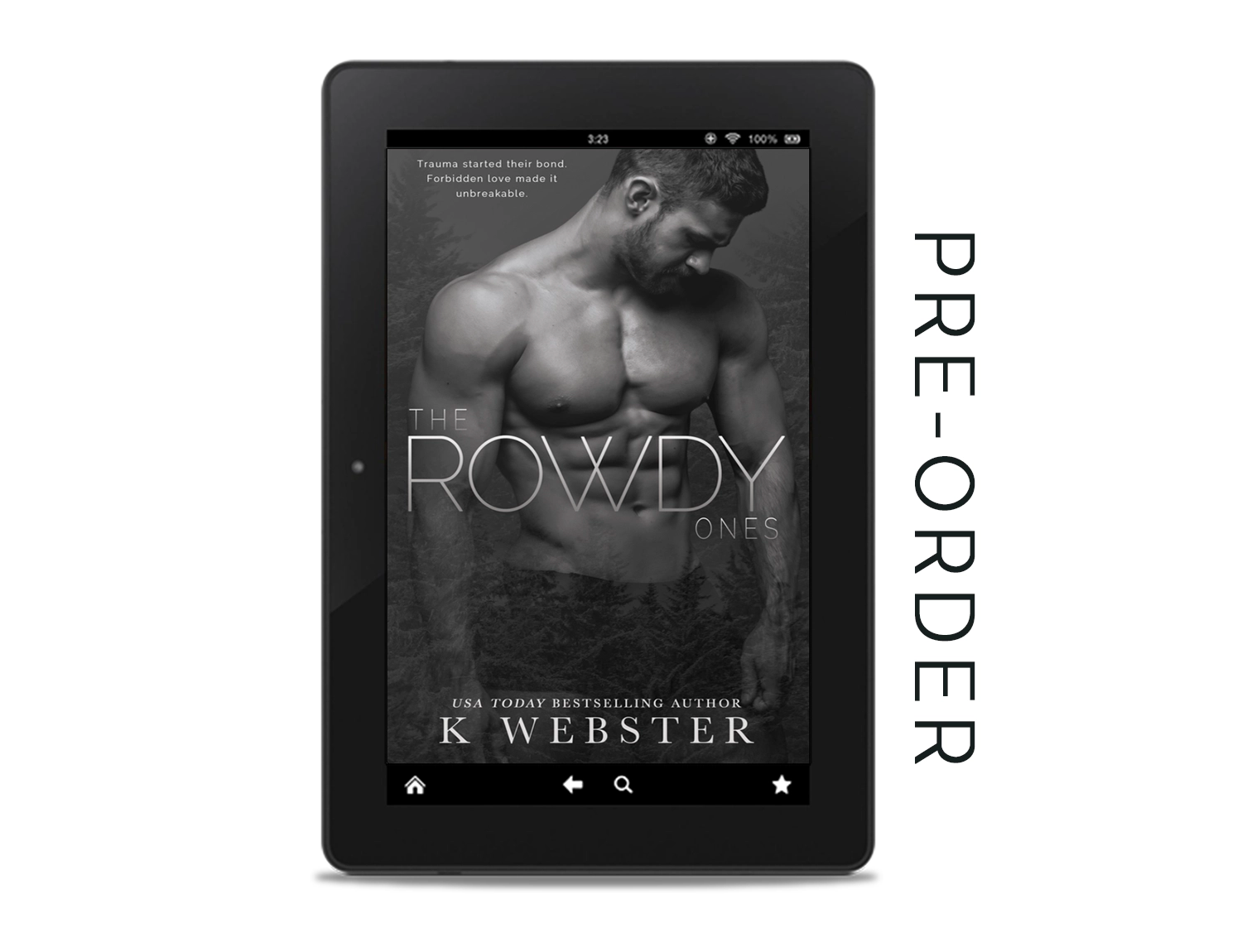 The Rowdy Ones Ebook