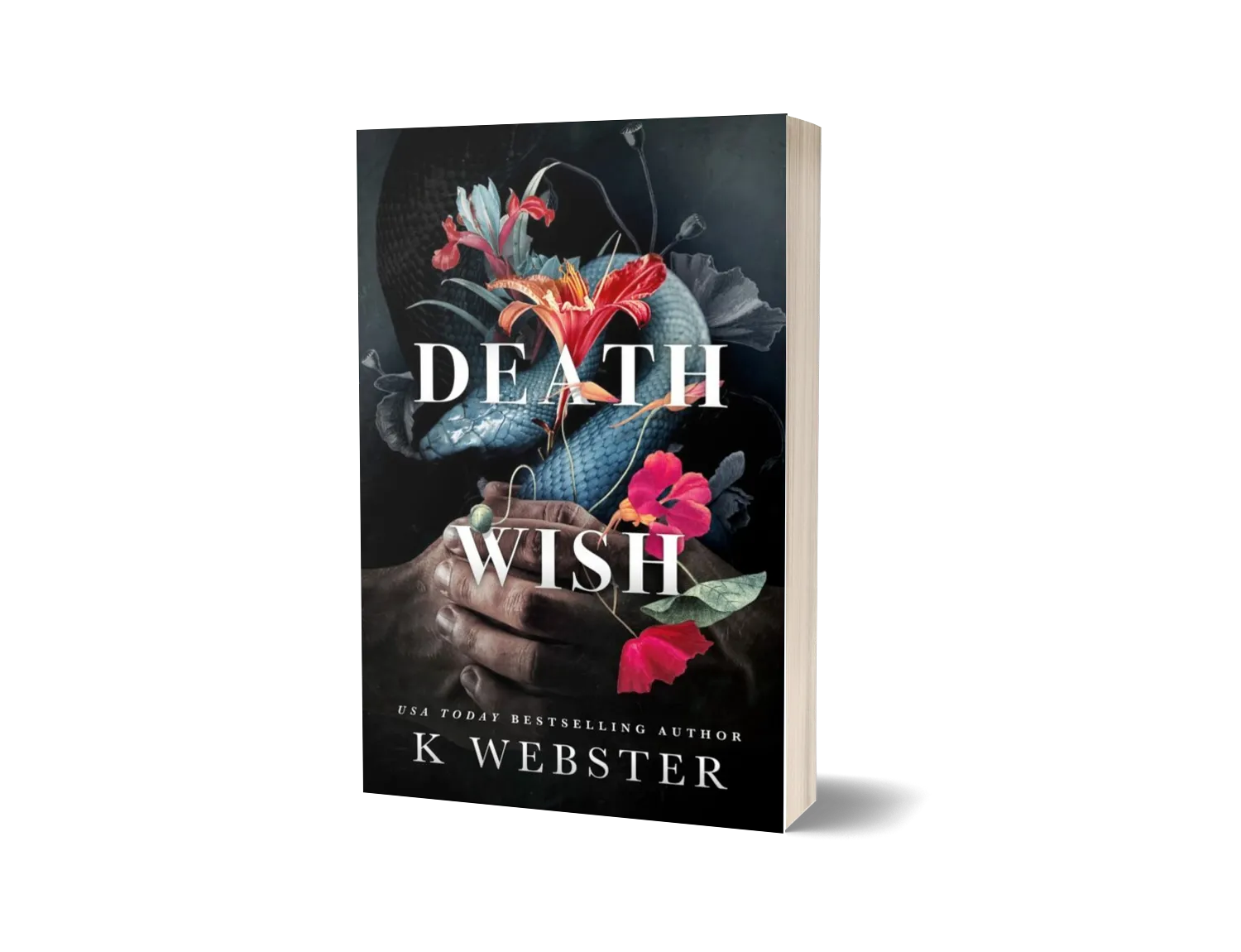 Death Wish image 0