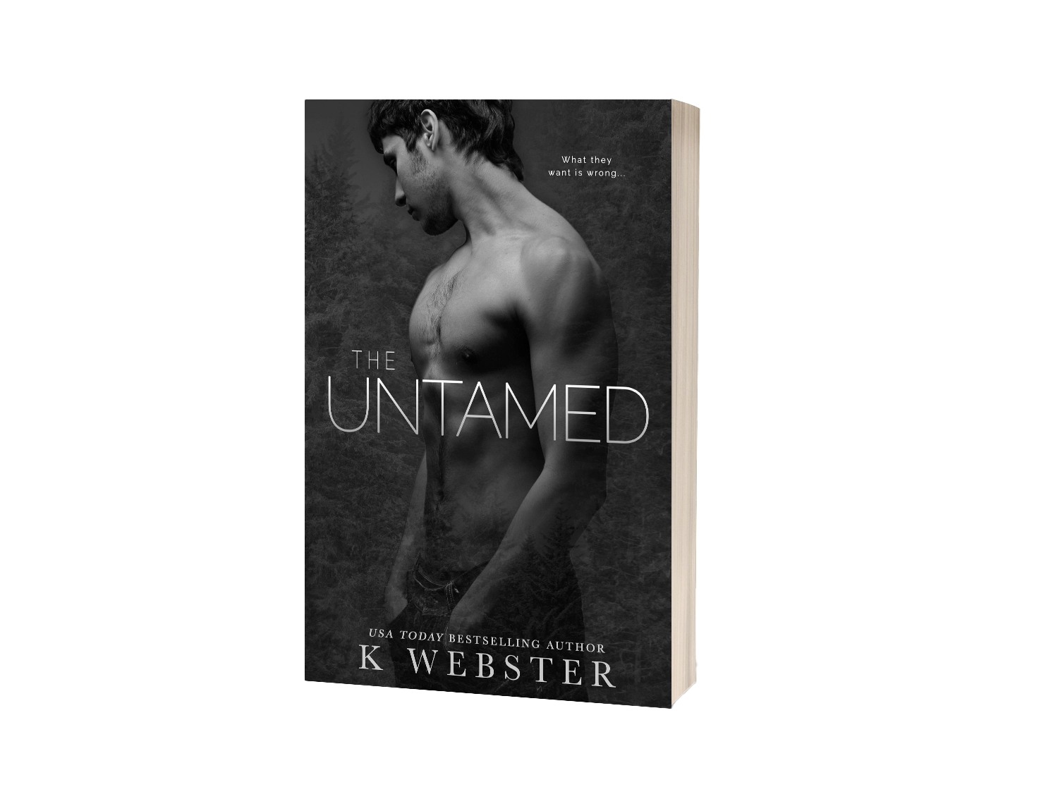The Untamed image 0