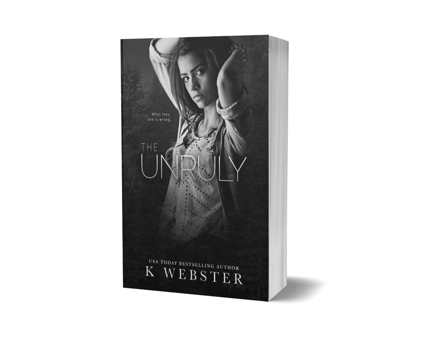 The Unruly image 0