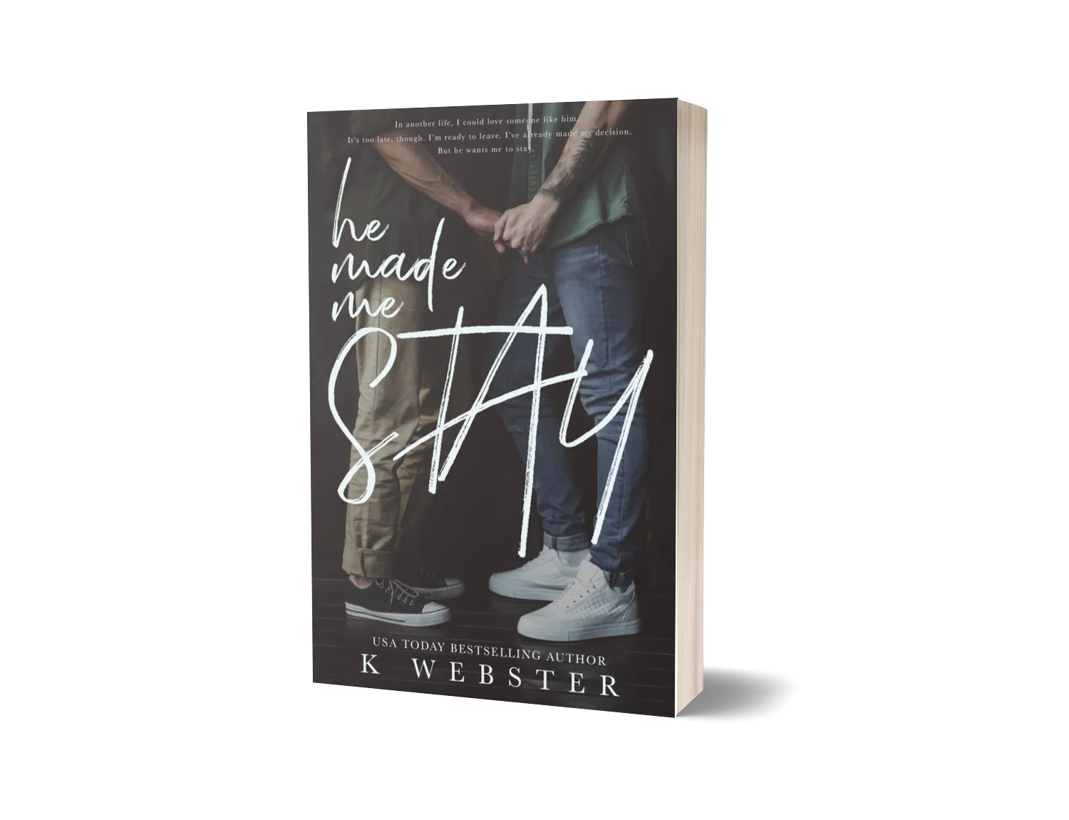 He Made Me Stay image 0