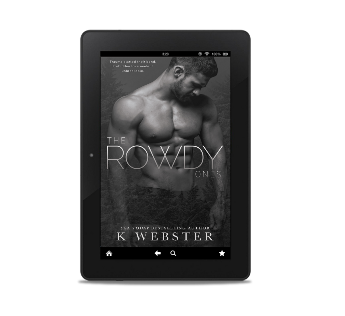 The Rowdy Ones Ebook
