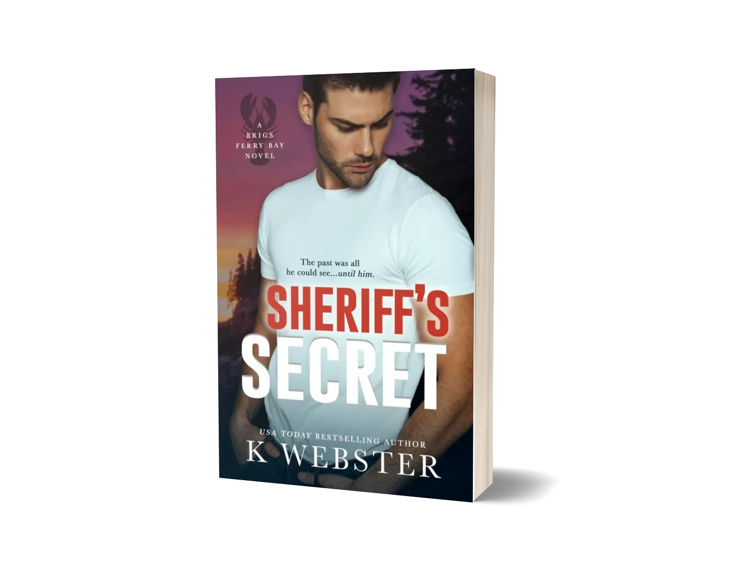 Sheriff’s Secret image 0