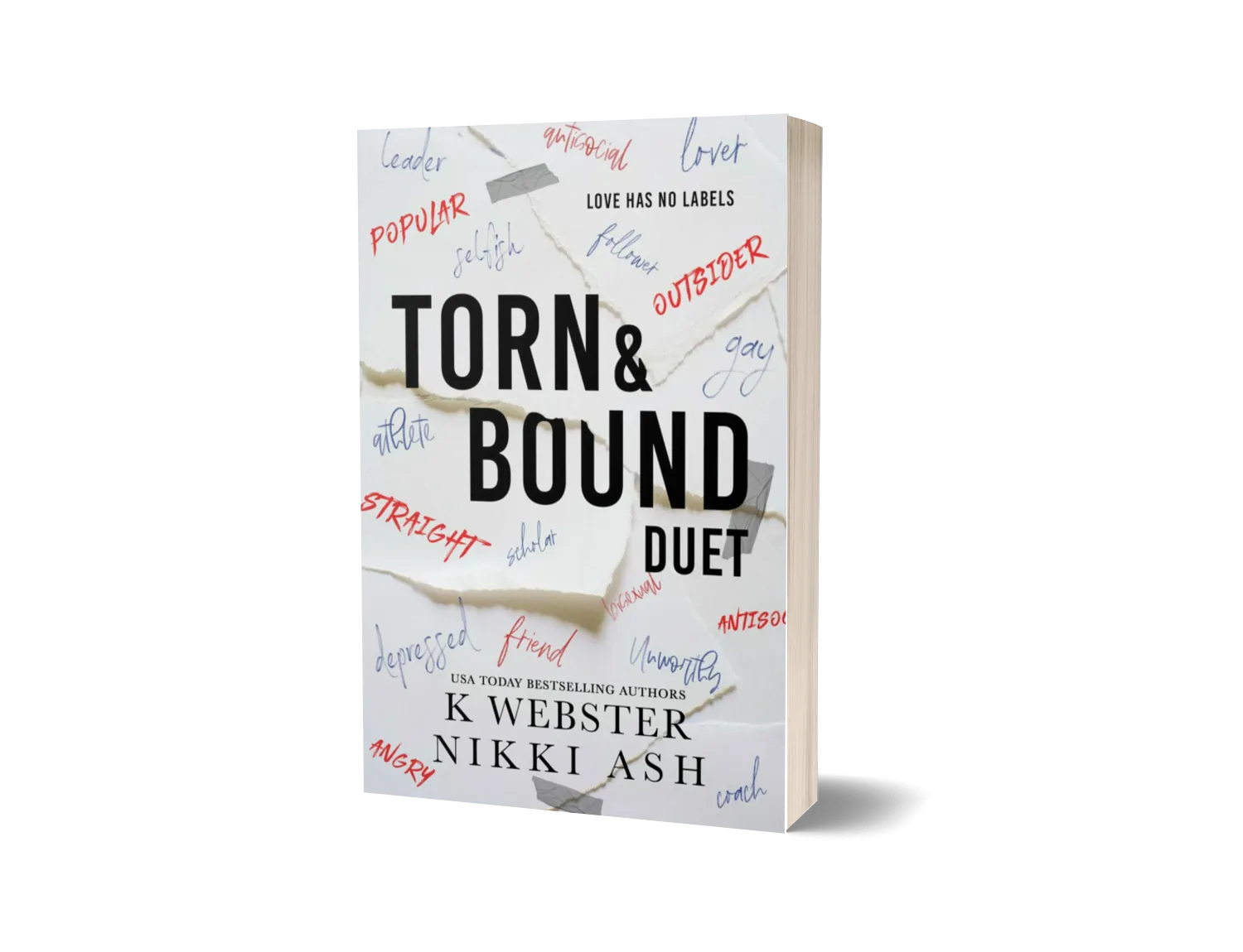 Torn and Bound Duet Omnibus image 0