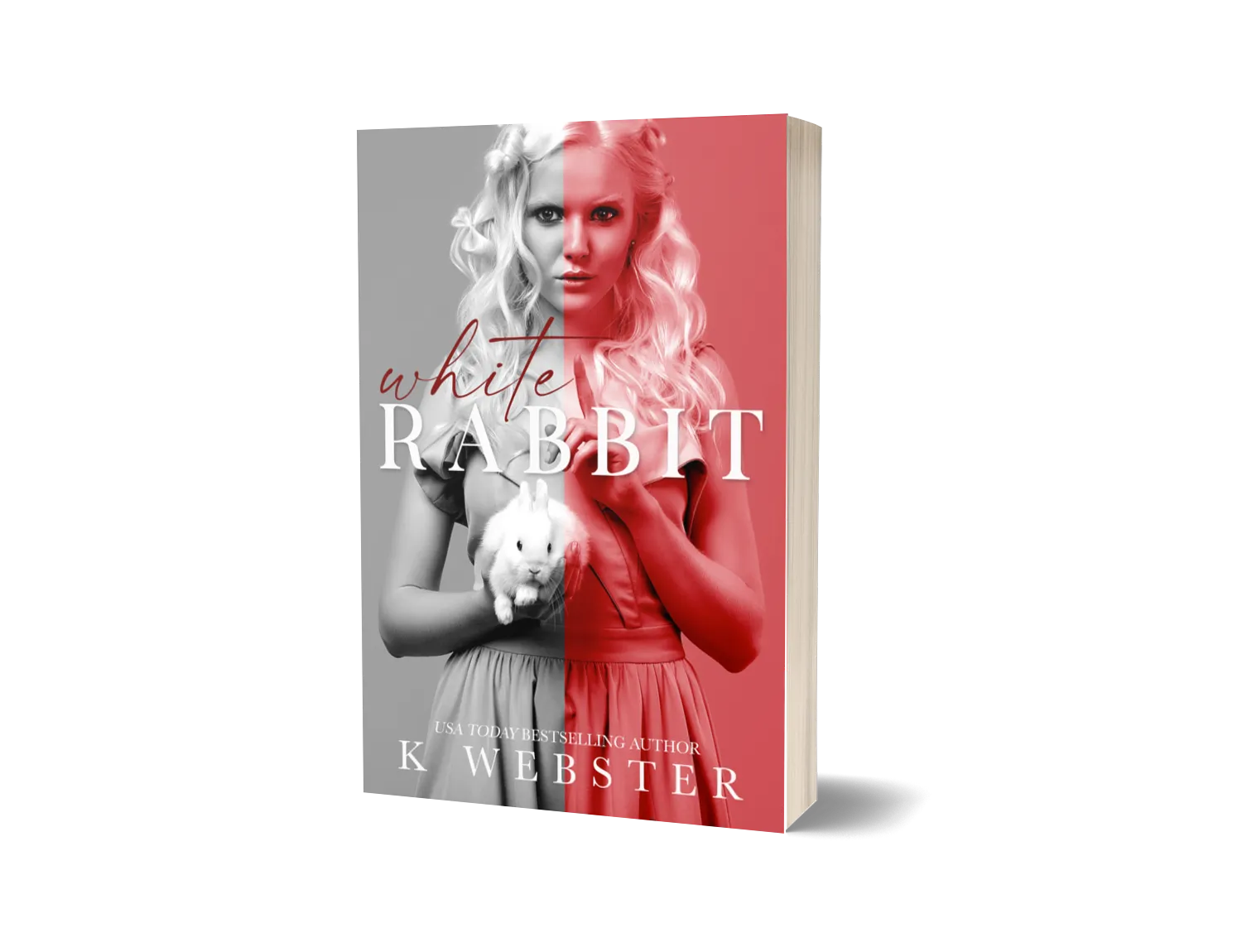 White Rabbit image 0