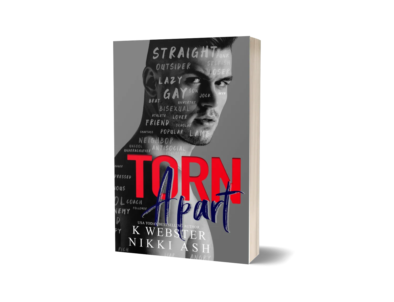 Torn Apart image 0