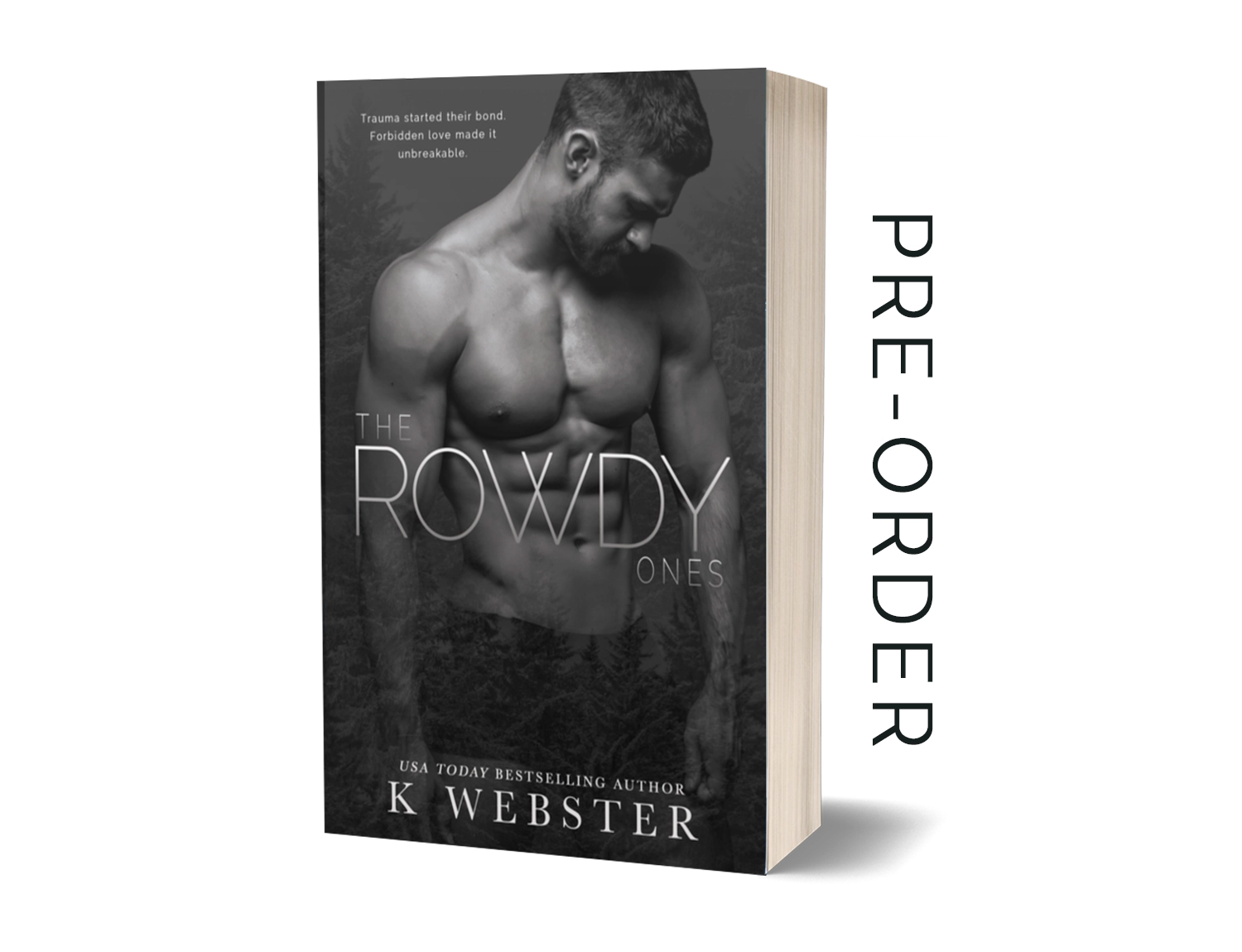 The Rowdy Ones (Pre-Order) image 0
