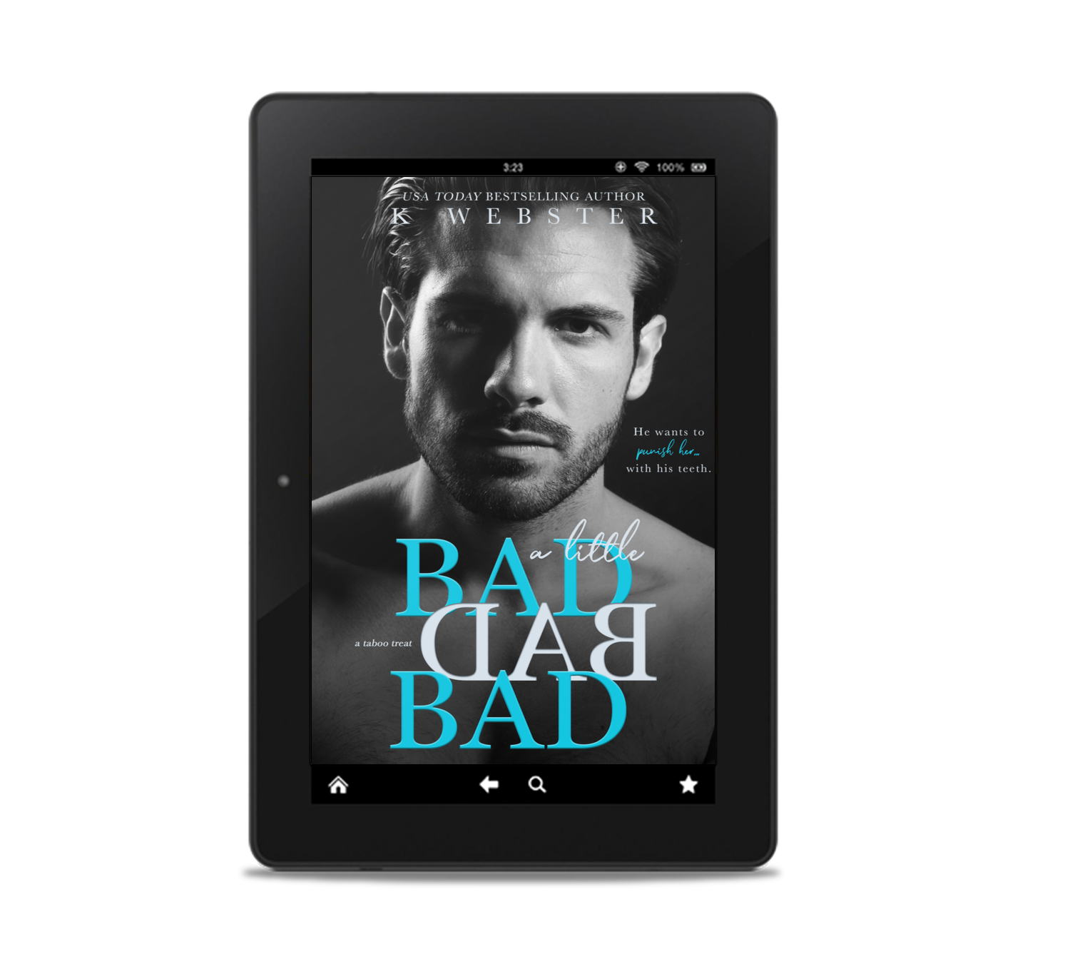 A Little Bad Bad Bad Ebook