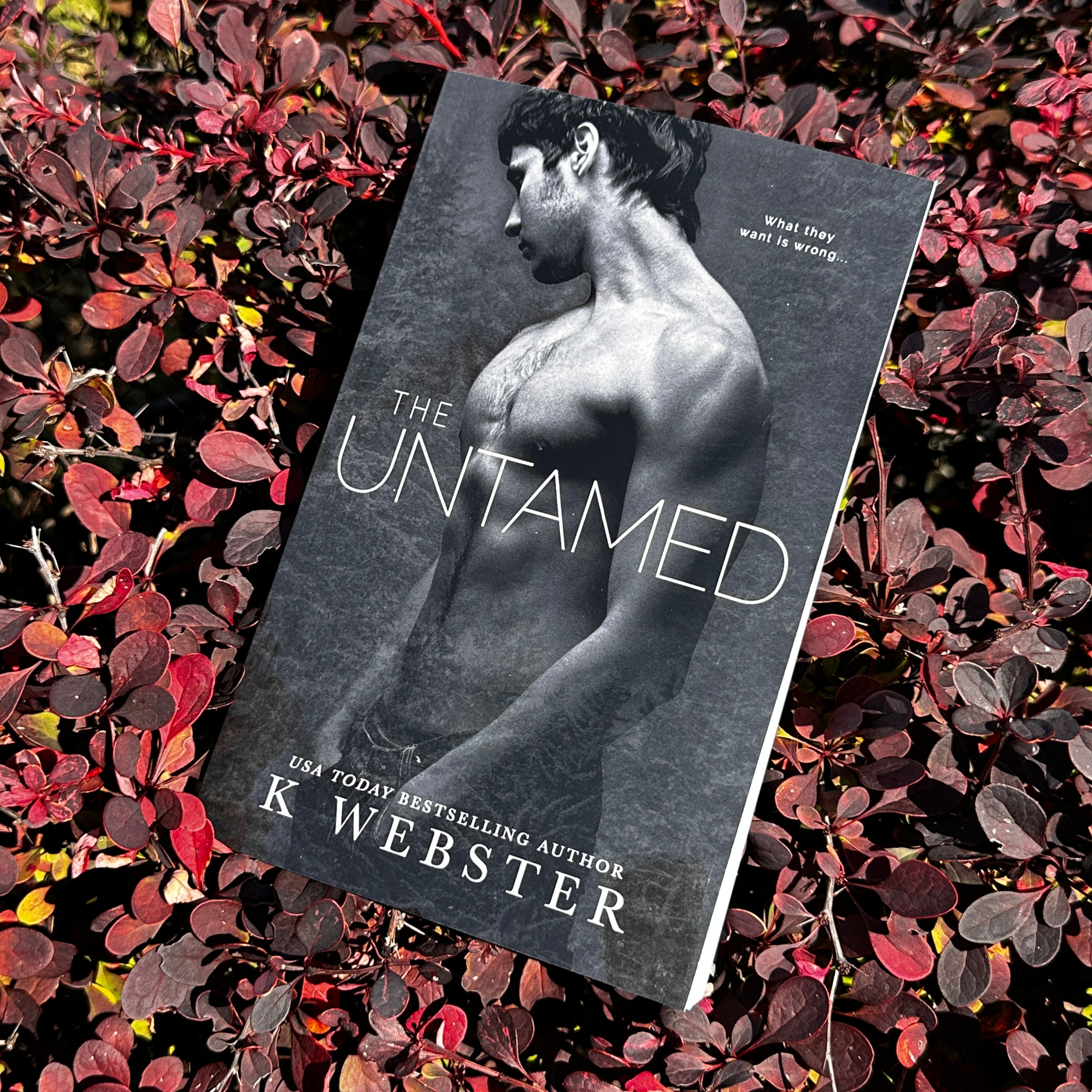 The Untamed