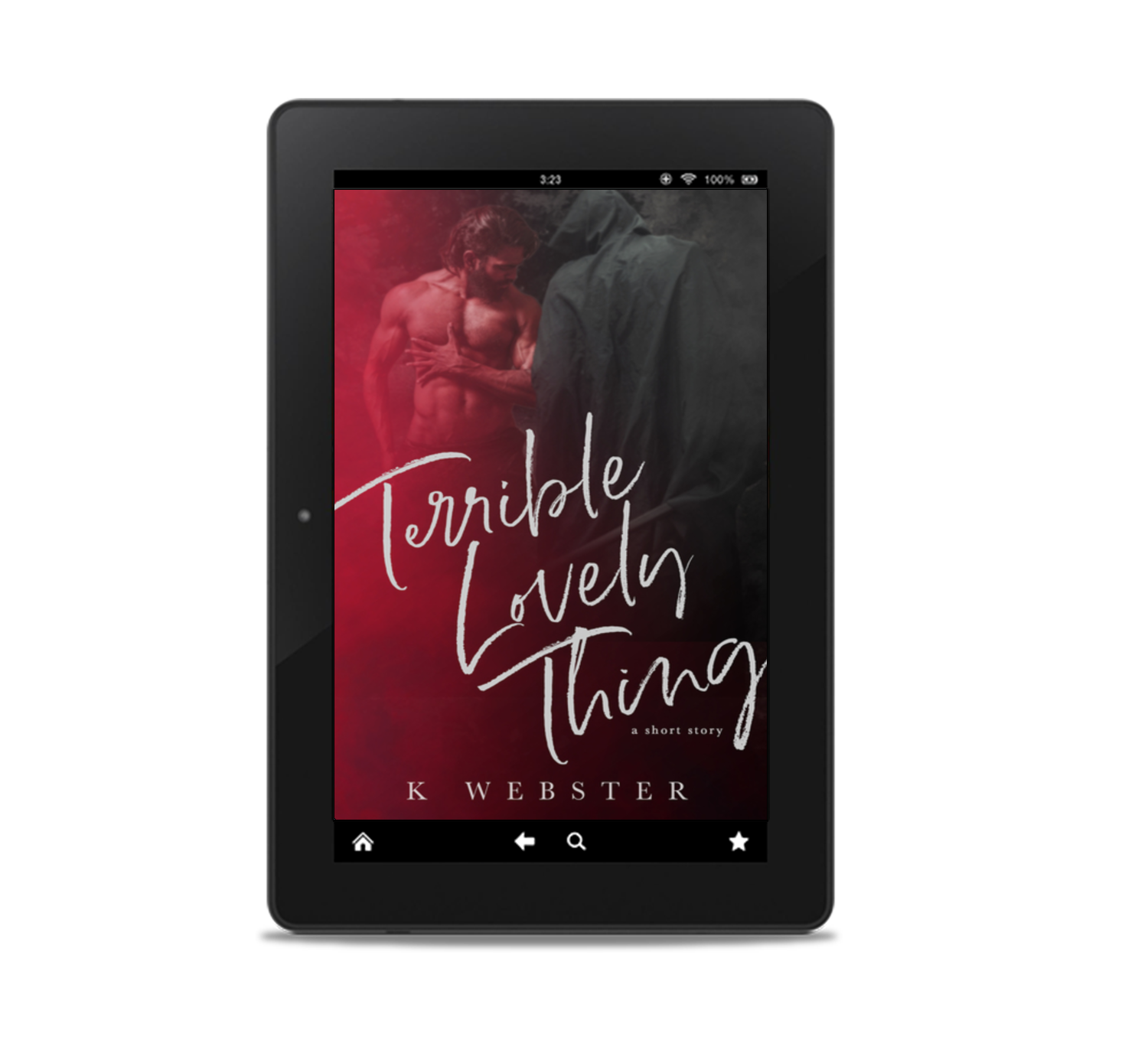 Terrible Lovely Thing Ebook