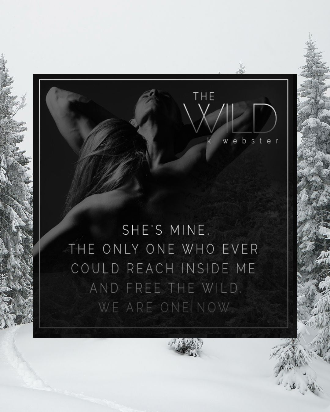 The Wild Ebook
