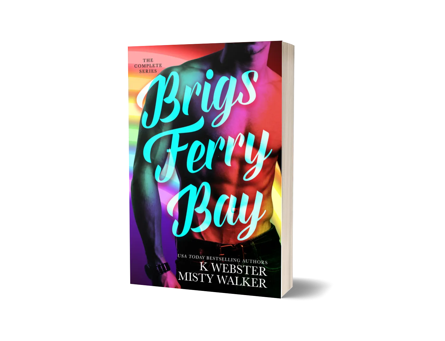 Brigs Ferry Bay Omnibus image 0