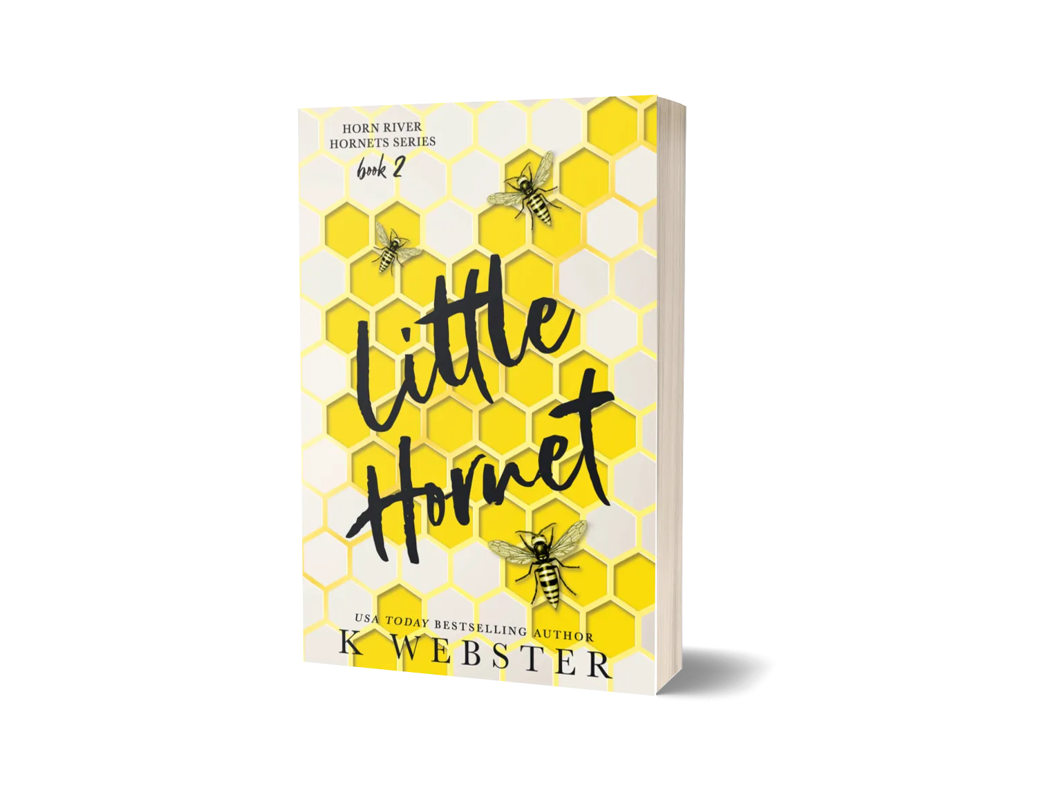 Little Hornet image 0