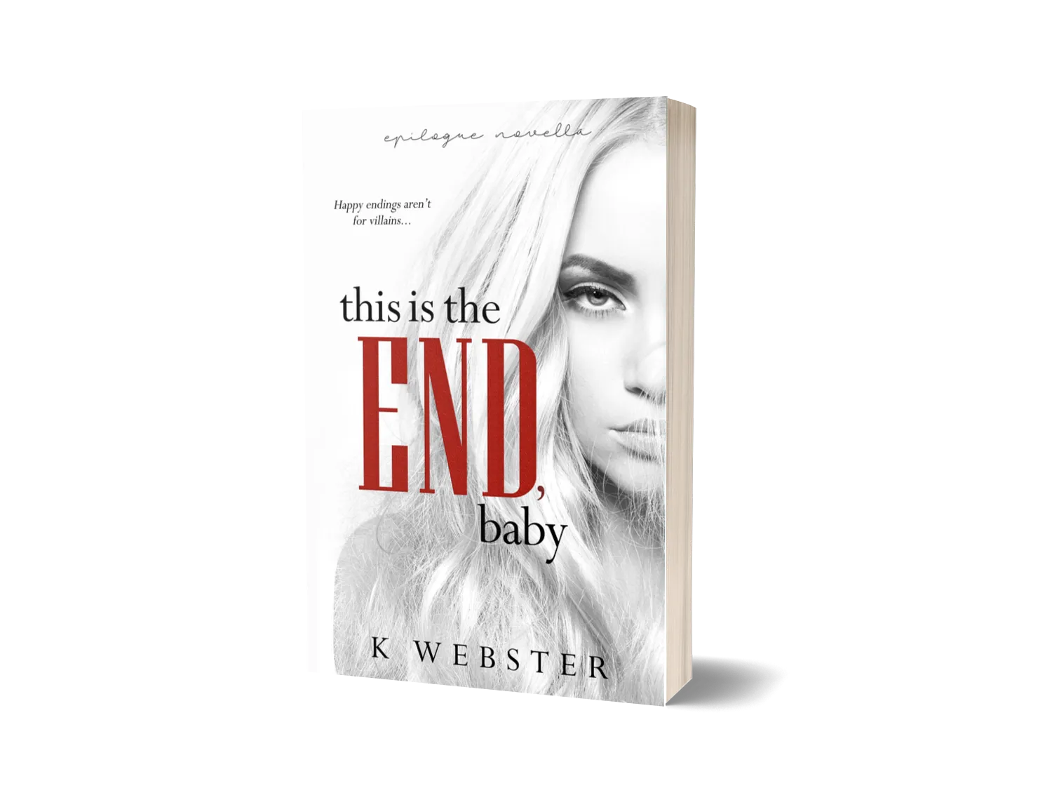 This is the End, Baby image 0