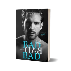 A Little Bad Bad Bad book cover