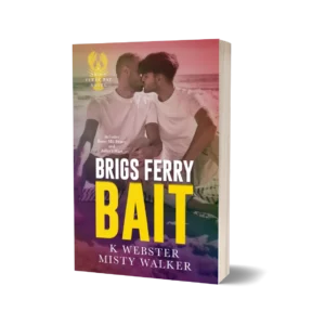 Brigs Ferry Bait book cover