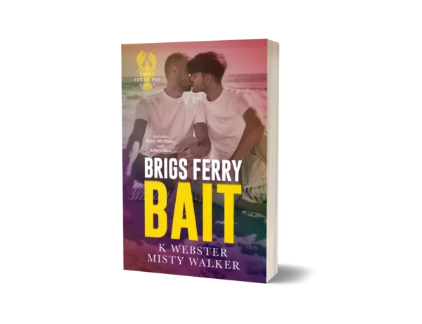 Brigs Ferry Bait book cover