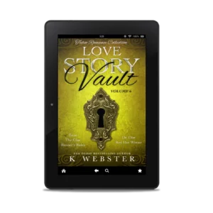 Love Story Vault: Taboo Romance ebook cover