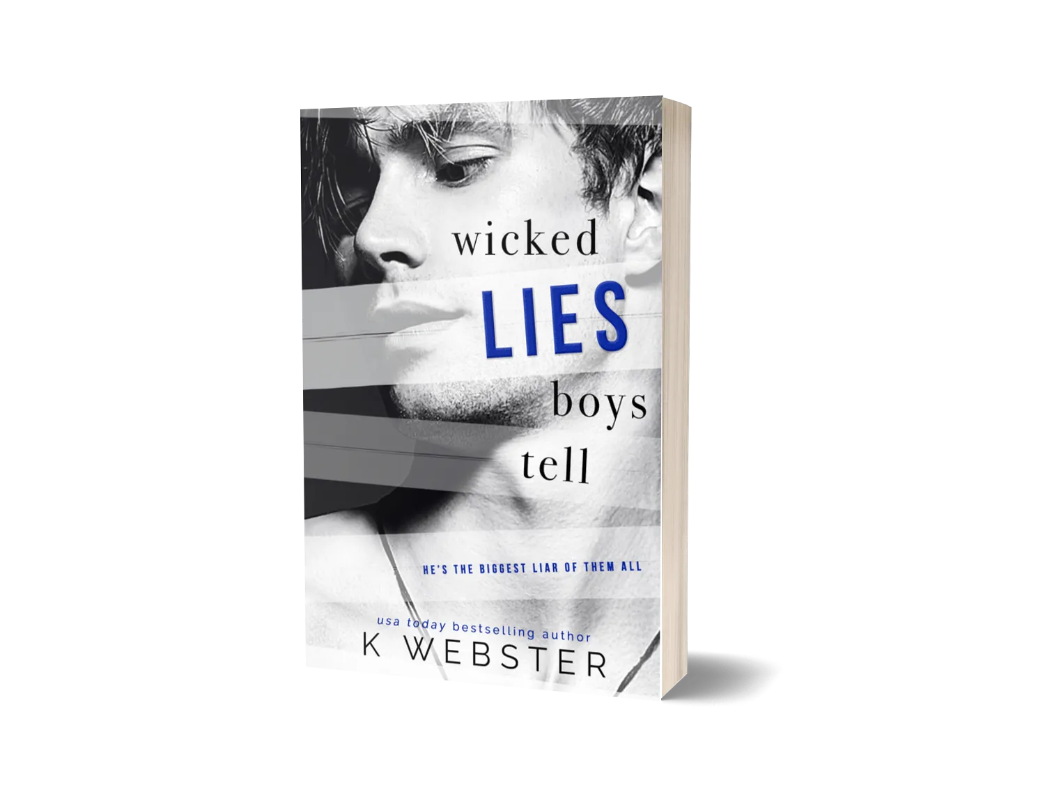 Wicked Lies Boys Tell book cover